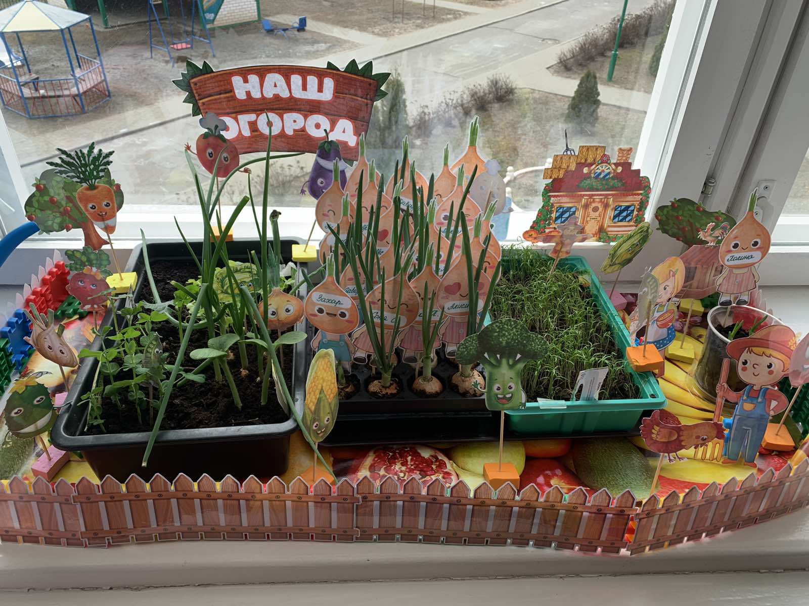 Огород на окне в детском саду. Оформление с фото